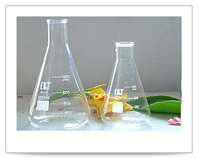 GG04-Conical Flask
